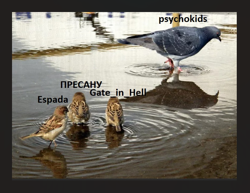 1740131376003.png