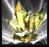 1741287458778.png