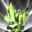 img_452.png