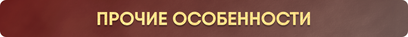 Прочие особенности.png