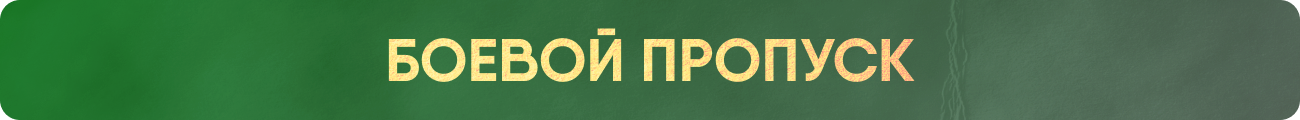 SP_RU (1).png